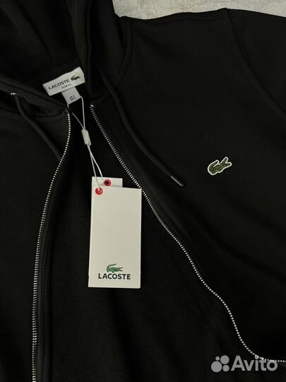 Спортивный костюм Lacoste мужской без начеса