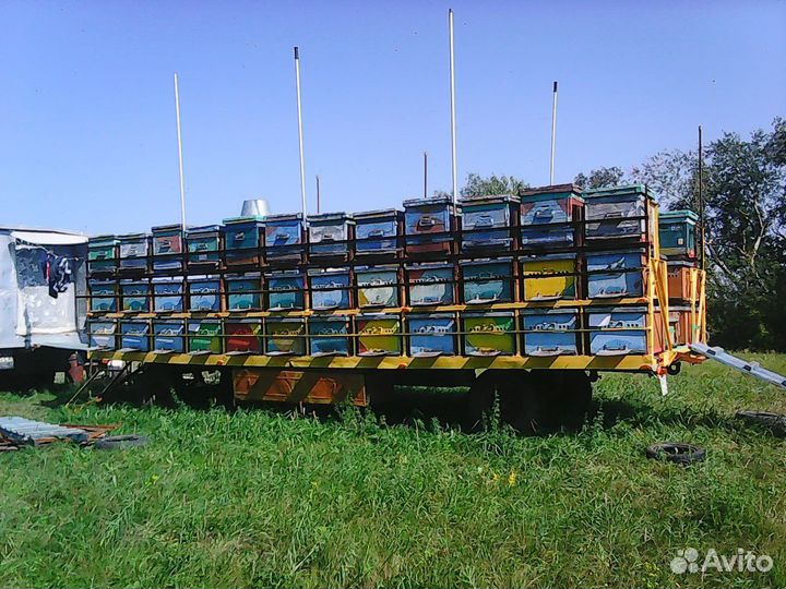 Прицеп тракторный 1ПТС-2, 2013