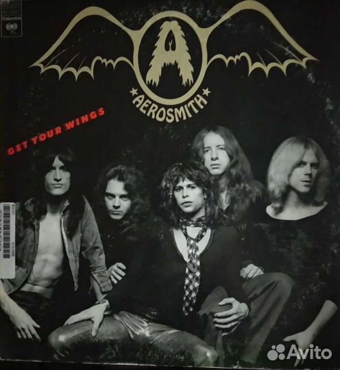 Aerosmith, Iron maiden винил