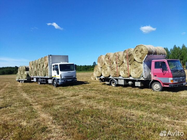 Сено в рулонах 2024. Доставка (Цена договорная)