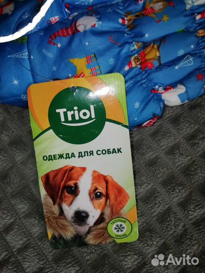 Костюм для собаки