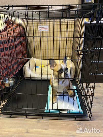 Клетка вольер для собак