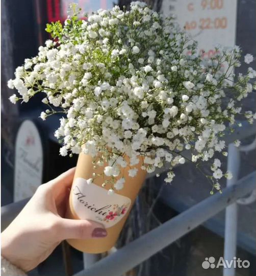 Букет из гипсофилы в коробке