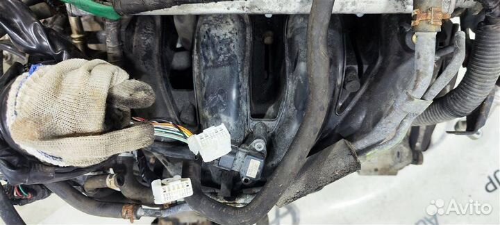 Двигатель Suzuki SX4 M15A