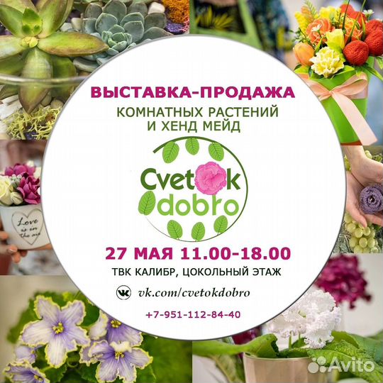 Выставка комнатных и садовых растений Cvetokdobro