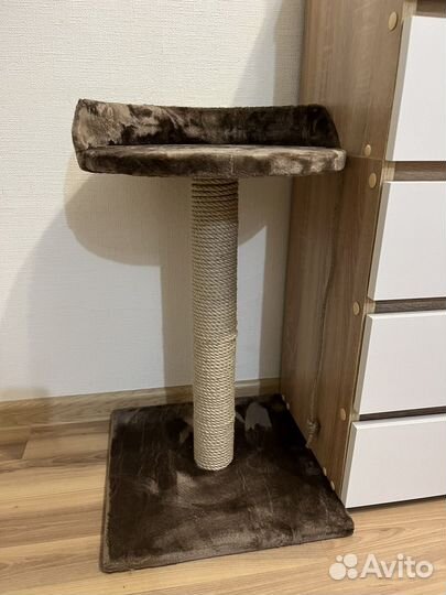 Когтеточка