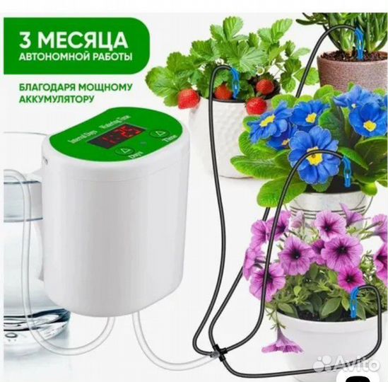 Автополив для комнатных растений