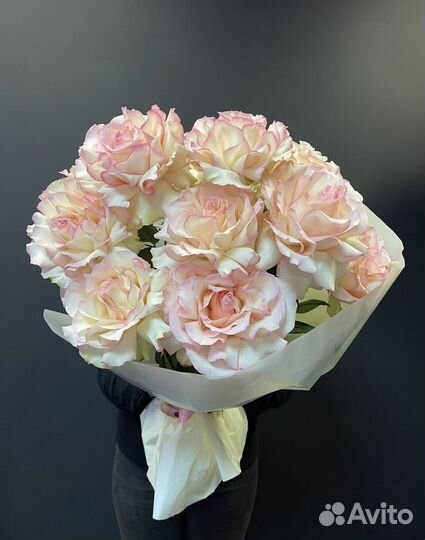 Французские розы