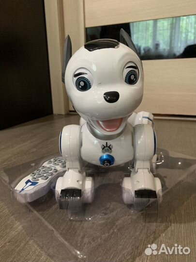 Робот-собака на пульте управления