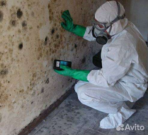 Удаление плесени, запахов