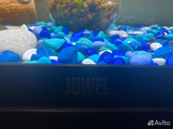 Продам Аквариум с тумбой juwel б/у