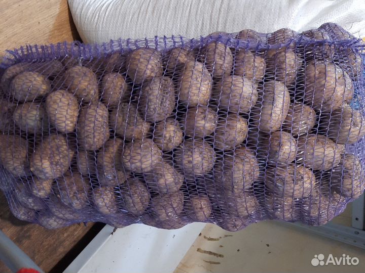 Картофель, лук, капуста,морковь