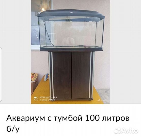 Аквариум