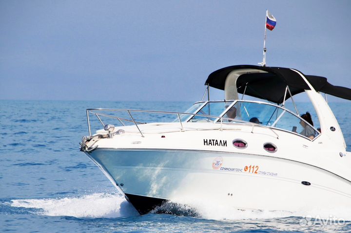 Аренда яхты / Аренда яхт Сочи