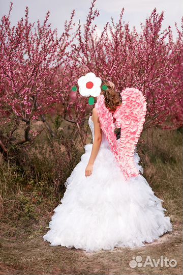 Крылья ангела