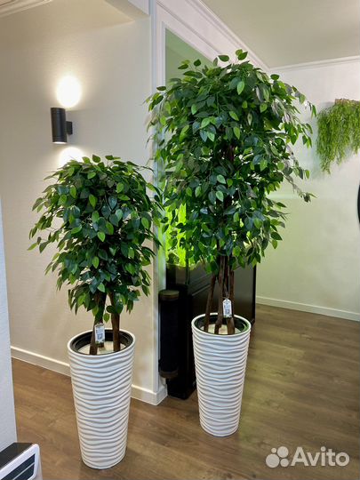 Искусственные деревья / Озеленение Помещений