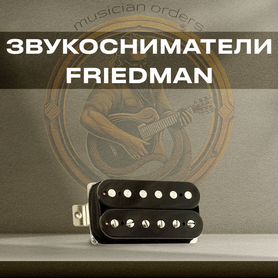 Звукосниматели Friedman