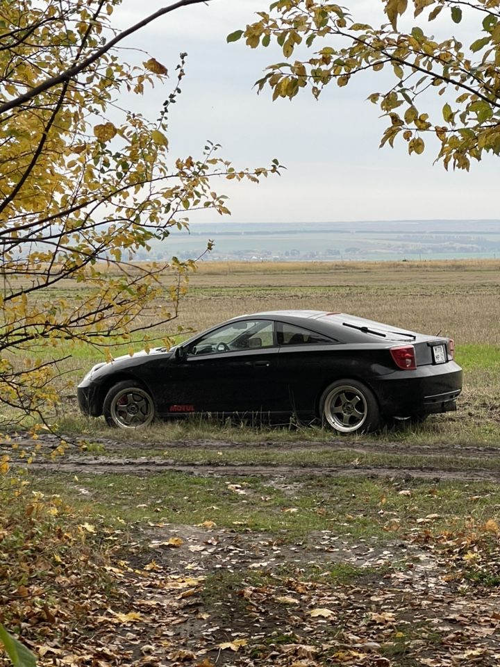 Toyota Celica: фото владельца