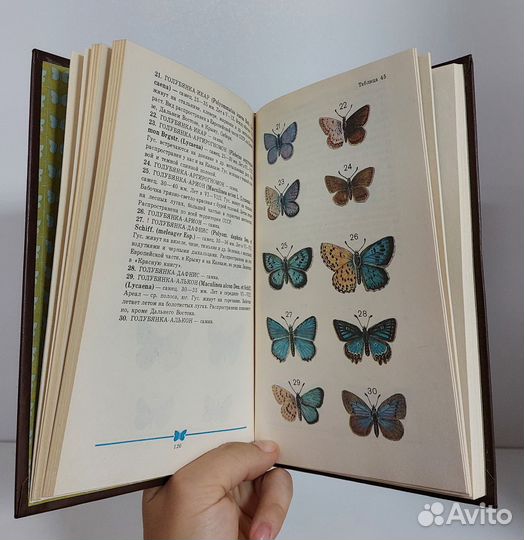 Корнелио М. П. Школьный атлас-определитель бабочек