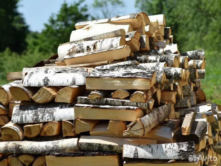 Дрова береза