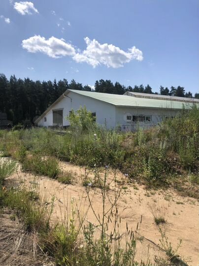 Участок 600 га (СНТ, ДНП)