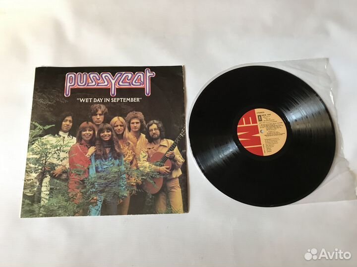 Pussycat