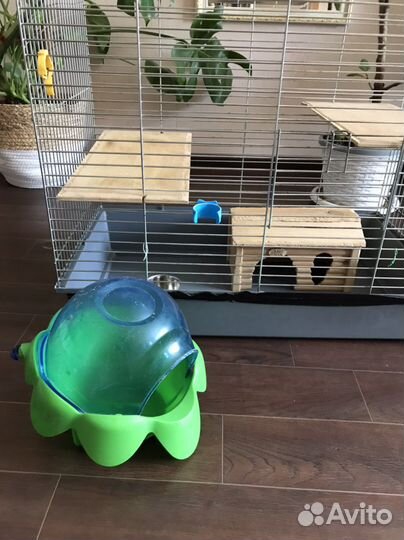 Клетка, домик, поилка, купалка для шиншиллы