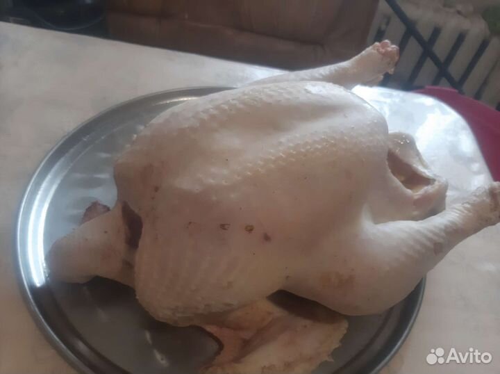 Продам тушки индейки домашний