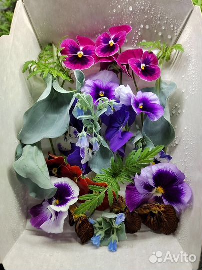 Обучение выращиванию гидропонным методом