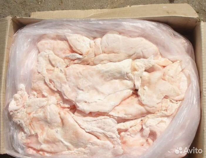 Уши свиные от домашней свинки