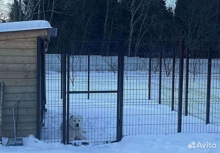 Забор из 3Д сетка для вольеров