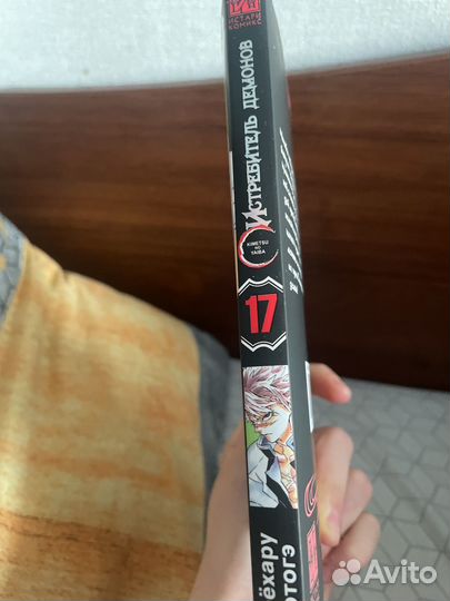 Манга истребитель демонов 17 том