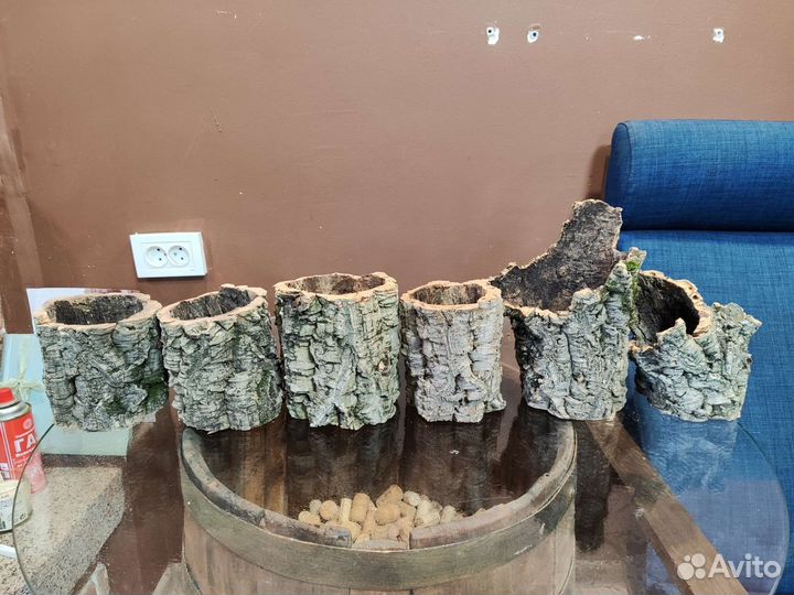 Кора пробкового дуба