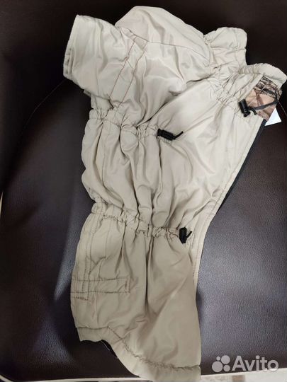 Одежда для собак