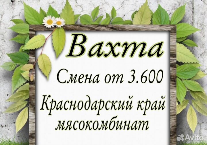 Сотрудник на мясокомбинат Краснодарский край/Вахта