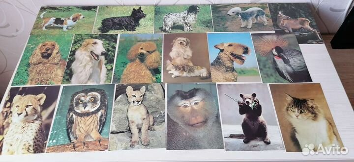 Открытки СССР чистые