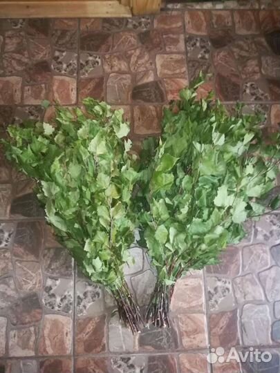 Березовые веники продам