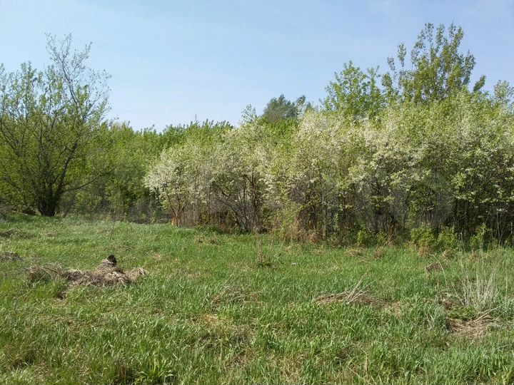 Участок 56 сот. (ИЖС)