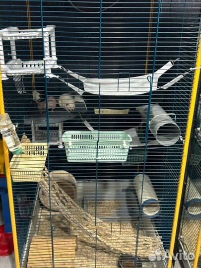 Клетка Furet Tower XL (с наполнением)