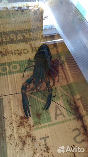 Действующие узв с аккр