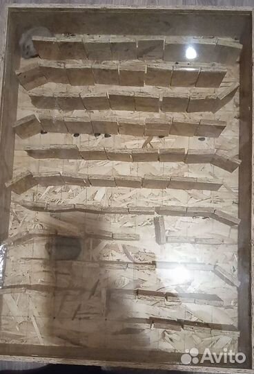 Лабиринт для хомяка с клеткой