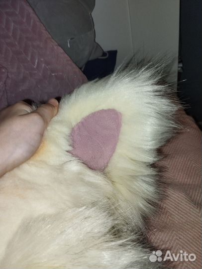 Фурсьют обмен