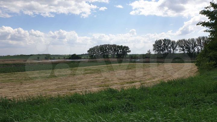 Участок 29,4 сот. (ИЖС)