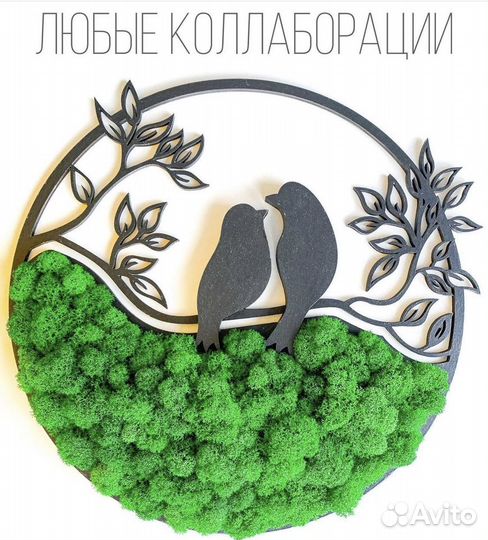 Панно со стабилизированным мхом