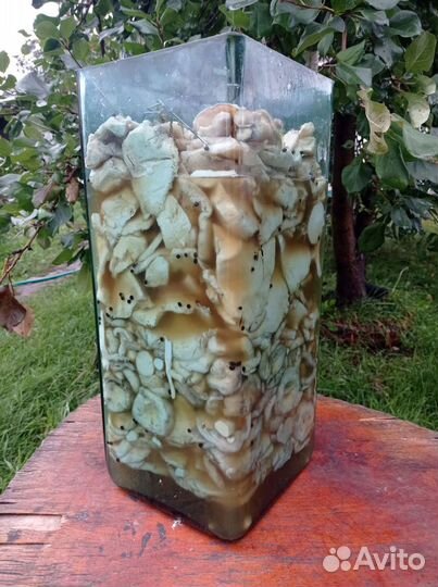 Грибы грузди бочковые соленые