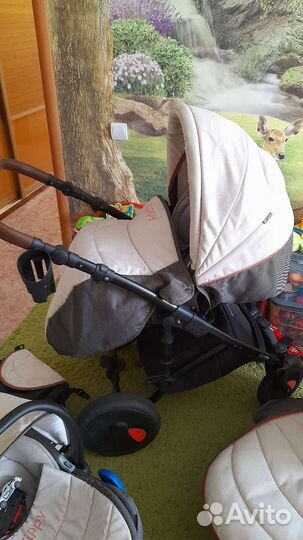 Коляска tutis zippy 3 в 1 viva