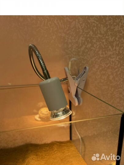 Ультрафиолетовая лампа для рептилий