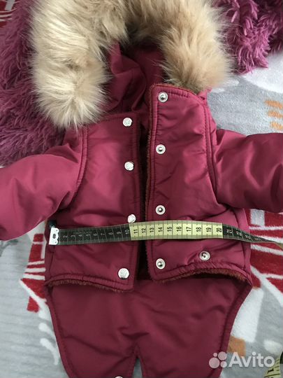 Куртка для собак мелких пород