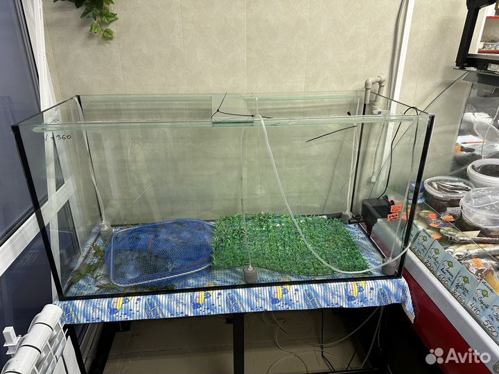 Аквариум