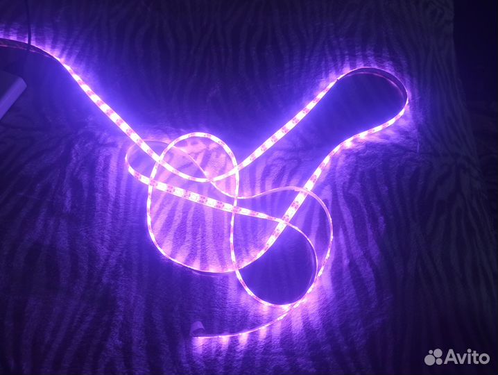 Фитолента для растений